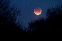 Lunar Eclipse - January 31, 2018