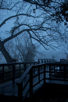 Woodcreek Reserve Fog - February 4, 2018