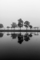 Grayson Lakes - October 30, 2016