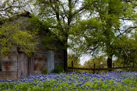 Washington County, Texas - March 23, 2018